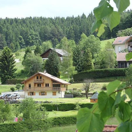 Chalet Centauree - Remy Herold Xonrupt-Longemer Kültér fotó