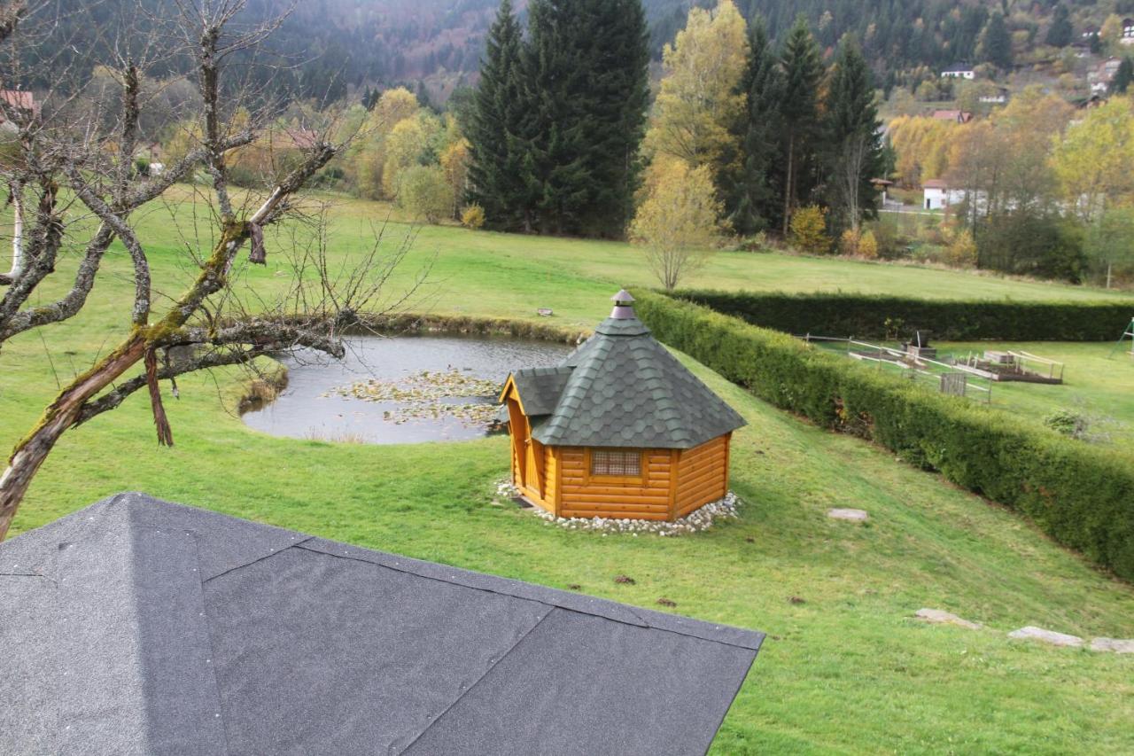 Chalet Centauree - Remy Herold Xonrupt-Longemer Kültér fotó
