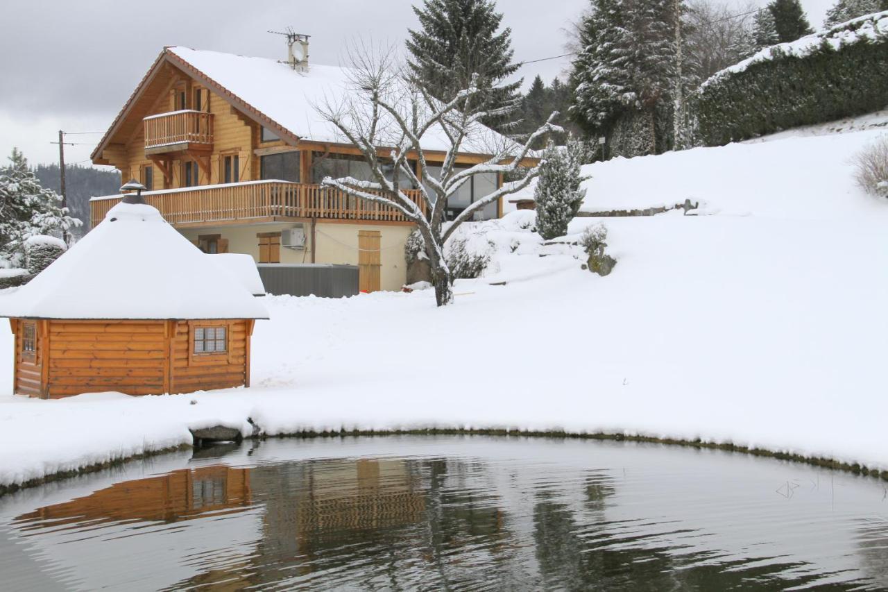 Chalet Centauree - Remy Herold Xonrupt-Longemer Kültér fotó