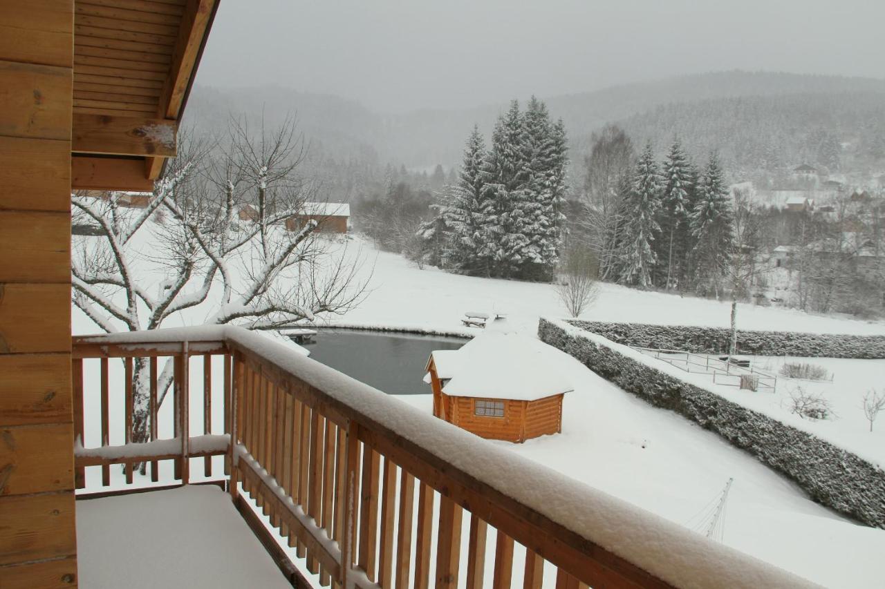 Chalet Centauree - Remy Herold Xonrupt-Longemer Kültér fotó