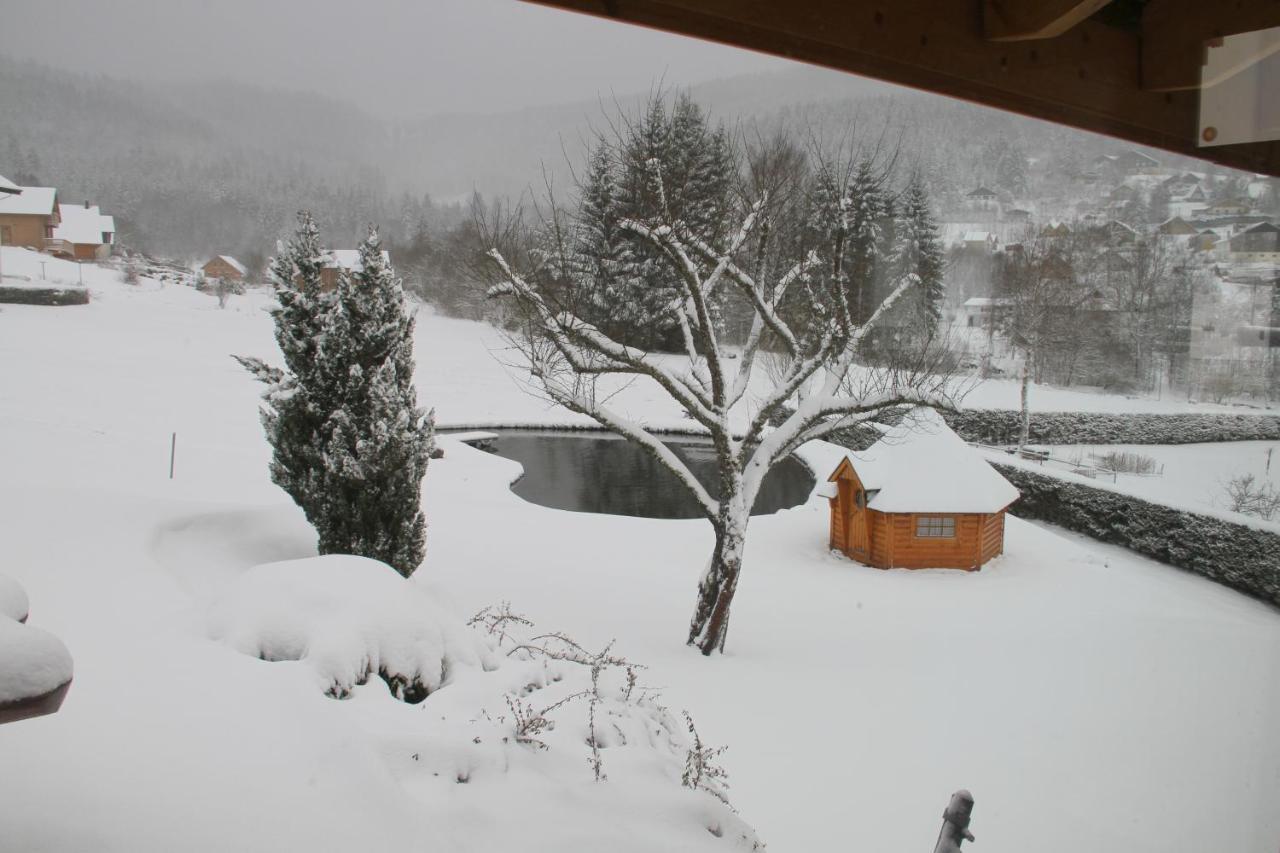 Chalet Centauree - Remy Herold Xonrupt-Longemer Kültér fotó
