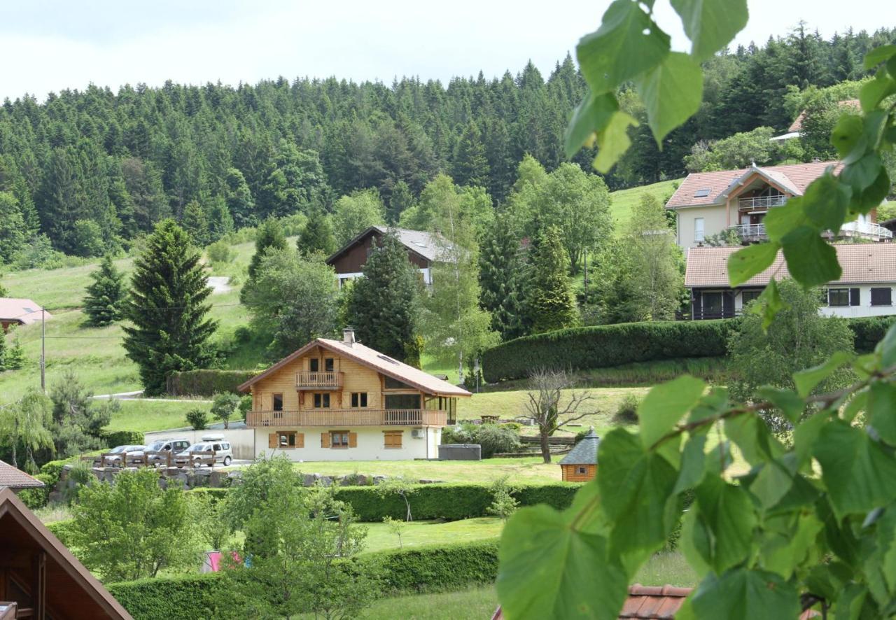 Chalet Centauree - Remy Herold Xonrupt-Longemer Kültér fotó