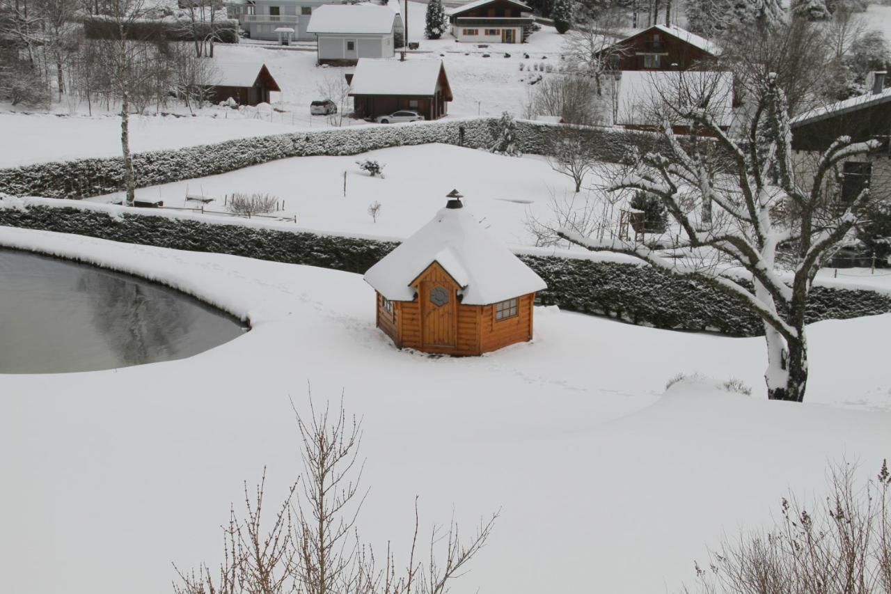 Chalet Centauree - Remy Herold Xonrupt-Longemer Kültér fotó
